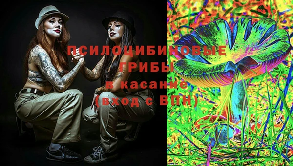 Альфа ПВП Белокуриха