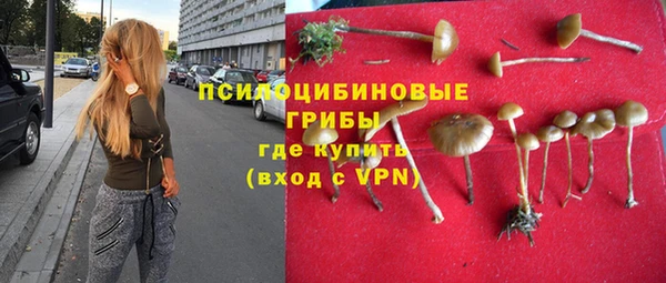 гашик Беломорск