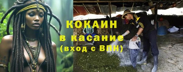 Альфа ПВП Белокуриха