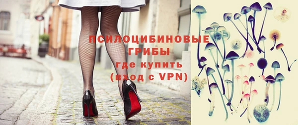 Альфа ПВП Белокуриха