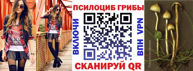 Галлюциногенные грибы Psilocybe  Курильск 
